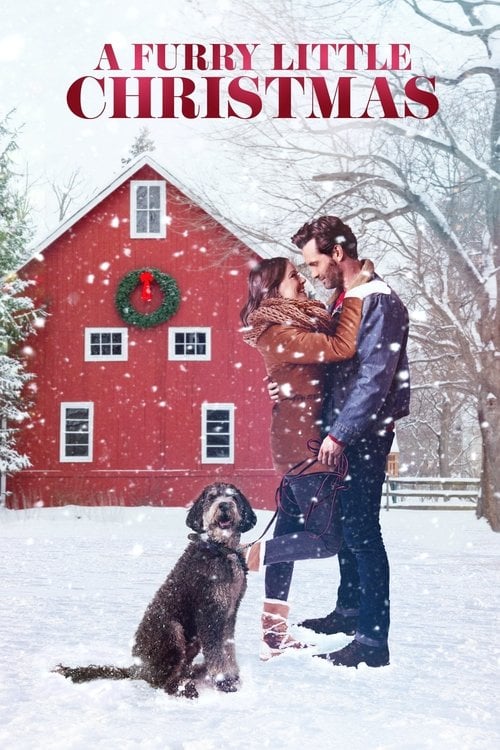 Movie poster for A Furry Little Christmas (2021)