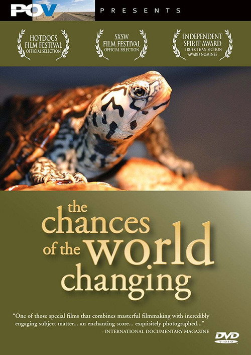 Movie poster for The Chances of the World Changing (2006)