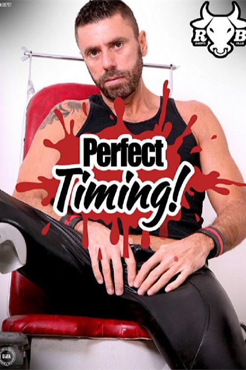 Movie poster for Perfect Timing (2020)
