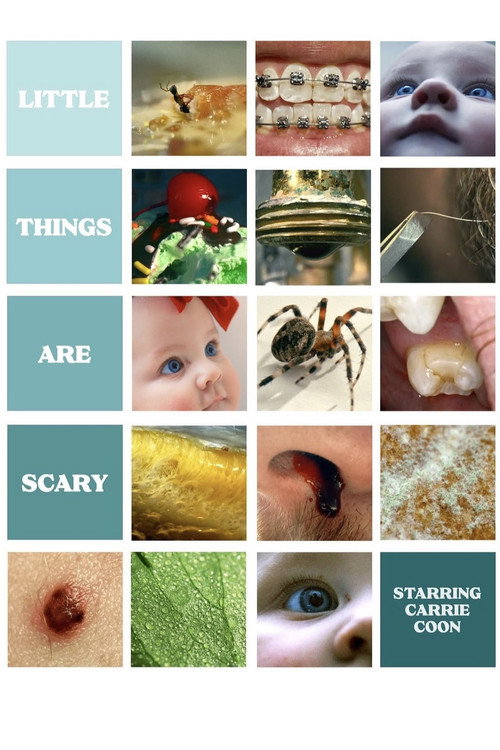 Movie poster for Little Things Are Scary (2023)