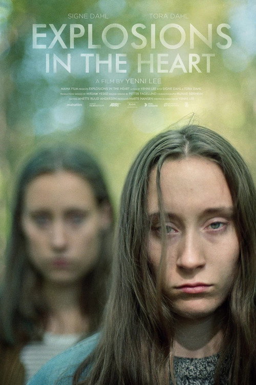 Movie poster for Explosions in the Heart (2016)