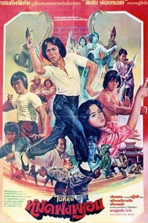 Movie poster for Fearless Master (1980)