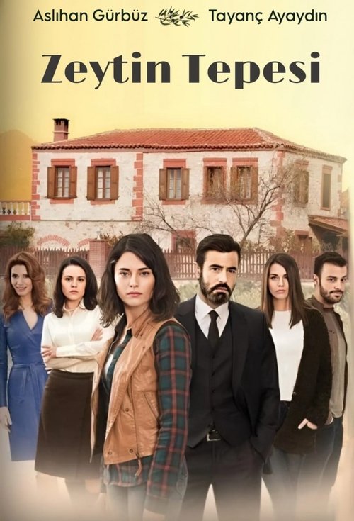 Zeytin Tepesi poster