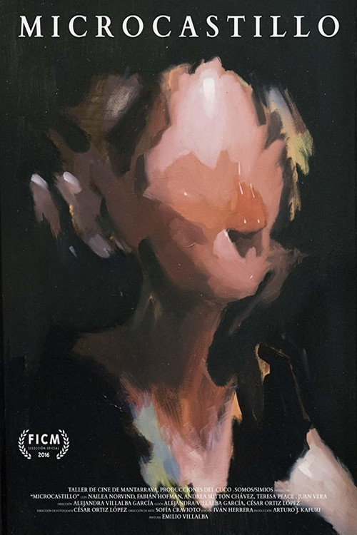 Movie poster for Microcastillo (2017)
