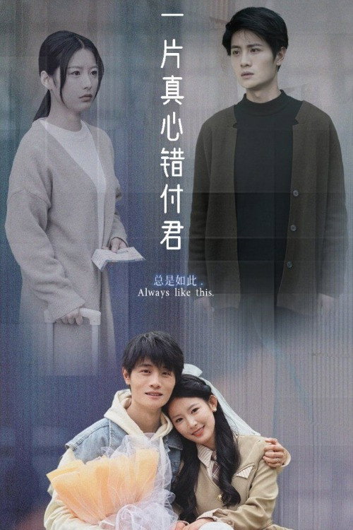 Series poster for 一片真心错付君 (2025)
