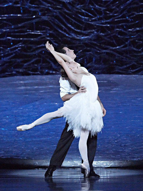 Movie poster for Graeme Murphy's Swan Lake