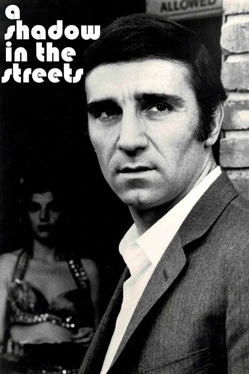 Movie poster for A Shadow in the Streets (1975)