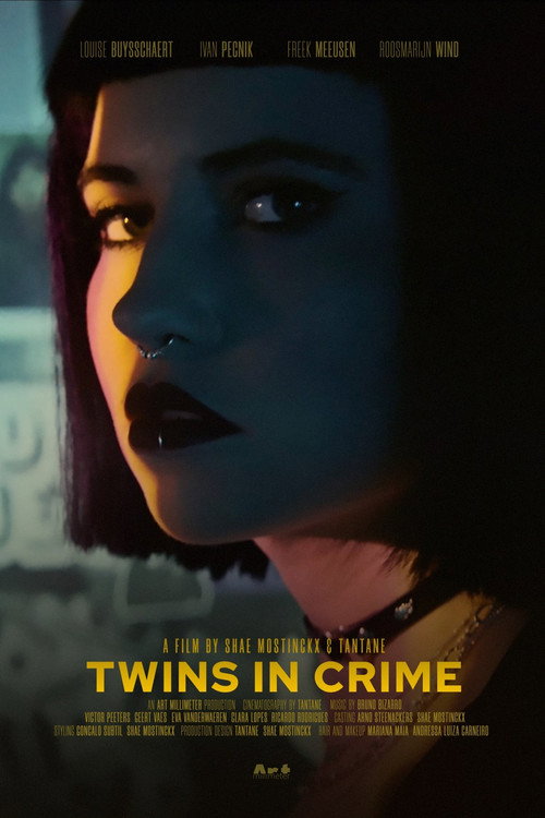Movie poster for Twins in Crime (2023)