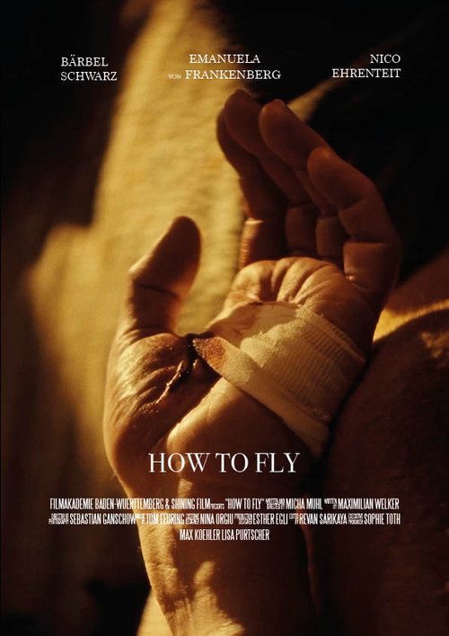 Movie poster for How to Fly