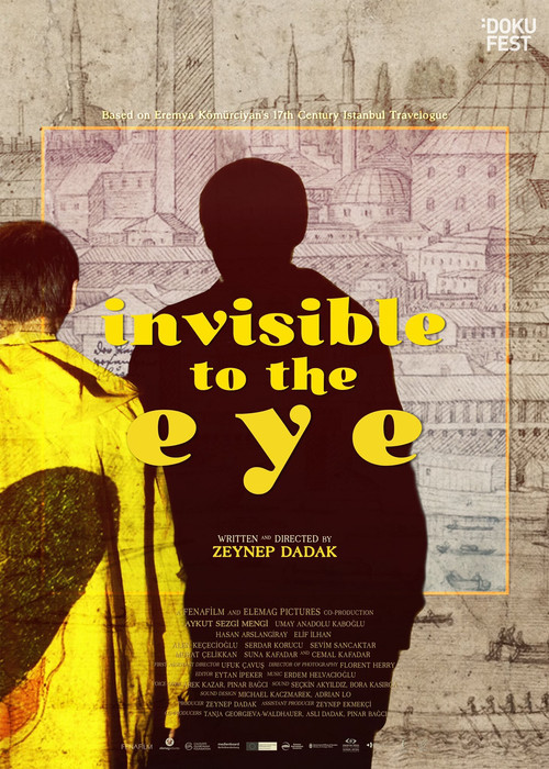 Movie poster for Invisible to the Eye (2020)