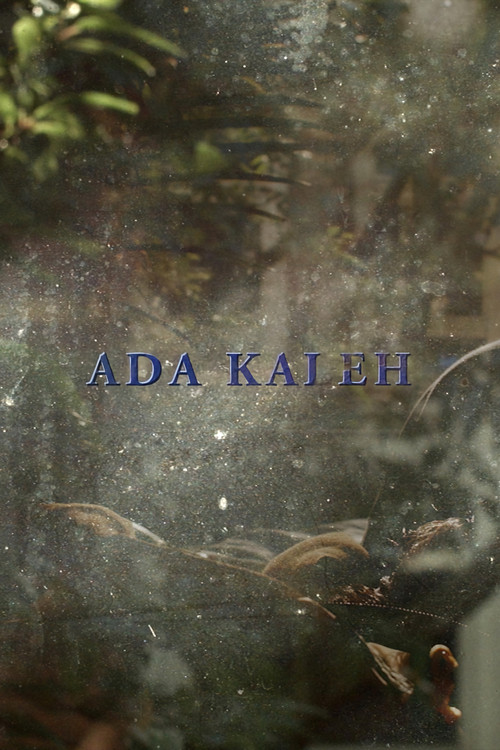 Movie poster for Ada Kaleh (2018)