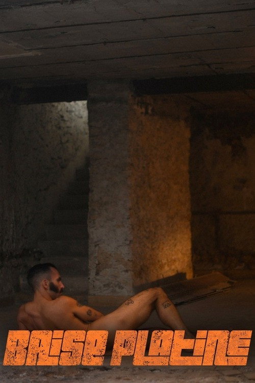 Movie poster for Baise platine (2025)