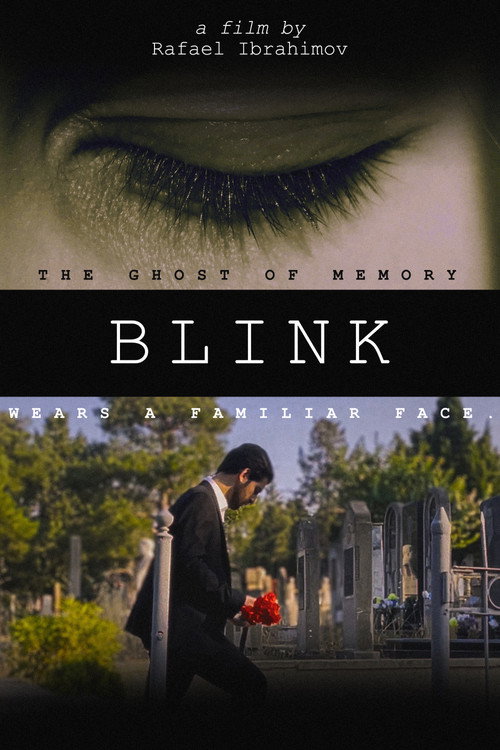 Movie poster for Blink (2025)