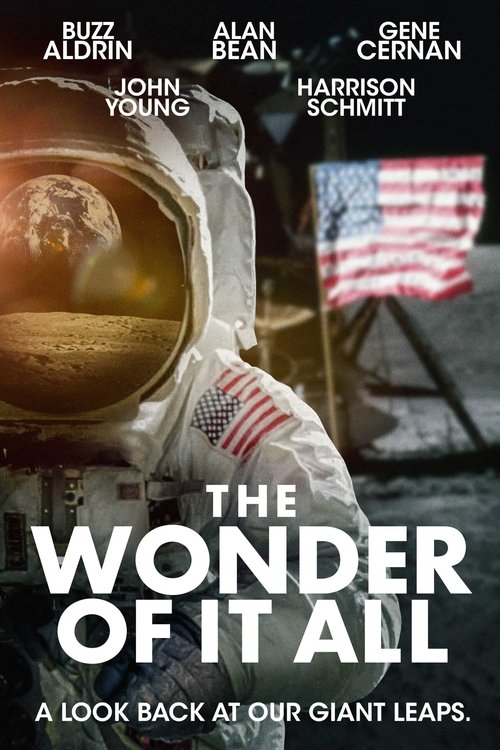 Movie poster for The Wonder of It All (2007)