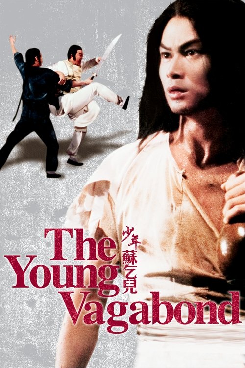 Movie poster for The Young Vagabond (1985)
