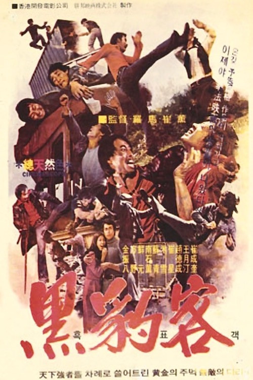 Movie poster for Black Guide (1974)