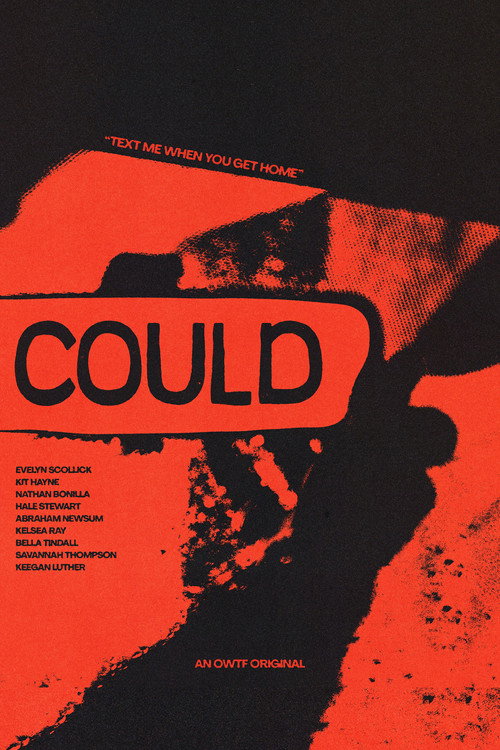 Movie poster for Could