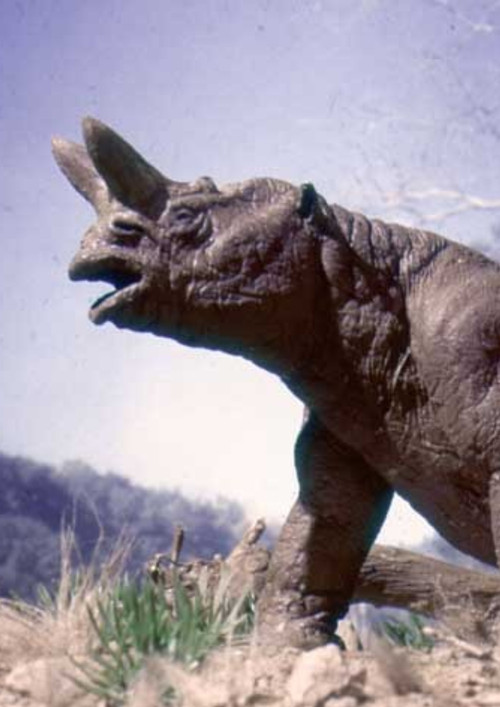 Movie poster for The Age of Mammals (1981)