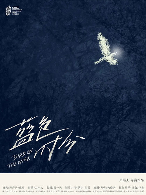 Movie poster for Bird on the Wire (2020)