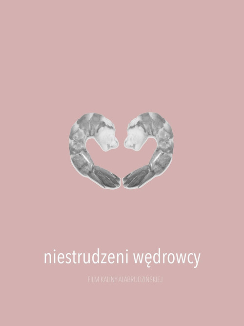 Movie poster for Niestrudzeni wędrowcy (2016)