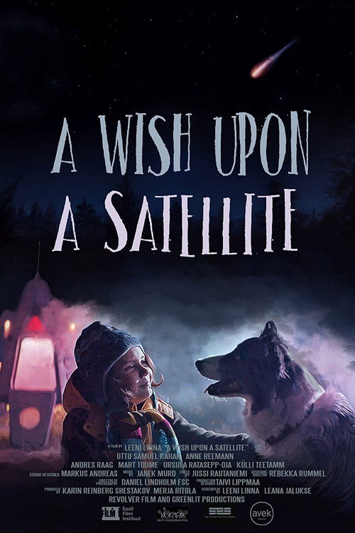 Movie poster for A Wish Upon A Satellite (2021)