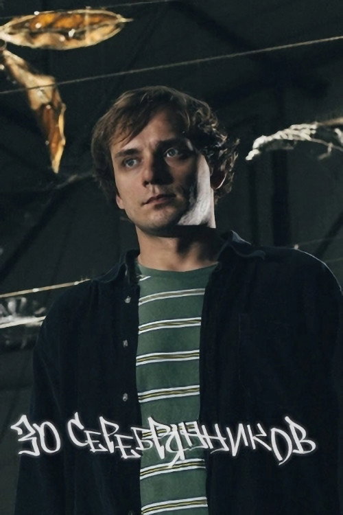 Movie poster for Вася Медведев: 30 серебрянников (2025)