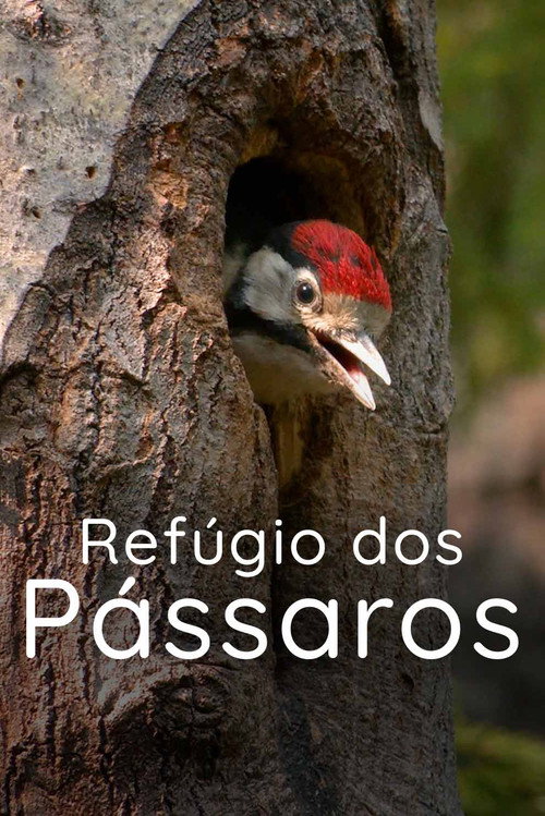 Movie poster for Refúgio dos Pássaros (2022)