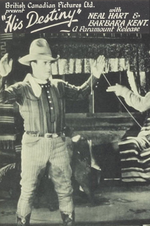 Movie poster for His Destiny (1928)