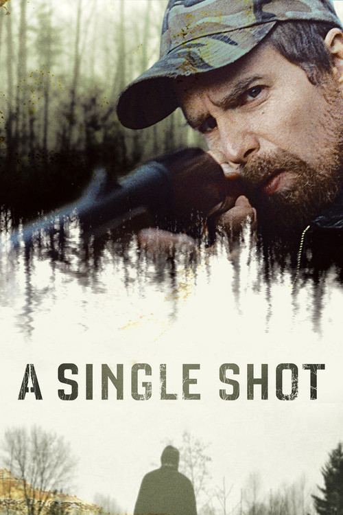 Movie poster for A Single Shot (2013)
