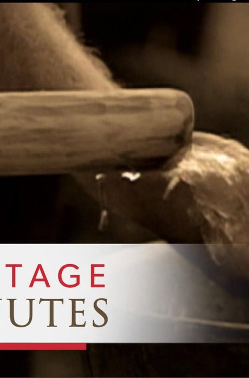 Movie poster for Heritage Minutes: Water Pump (1995)