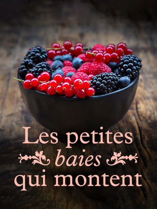 Movie poster for Les petites baies qui montent (2021)
