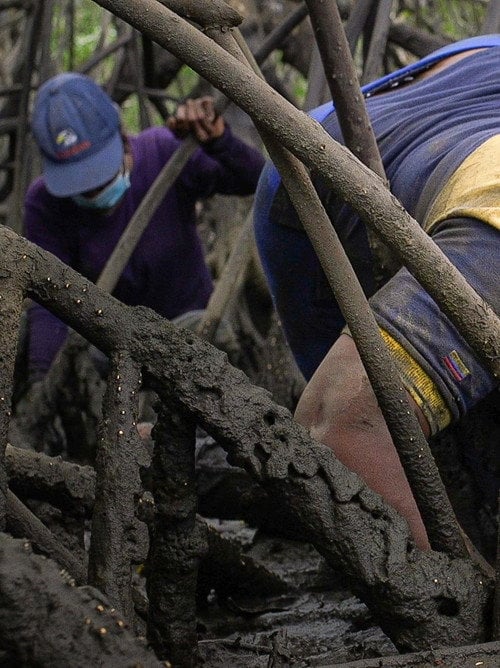Movie poster for Mangrove Women (2023)