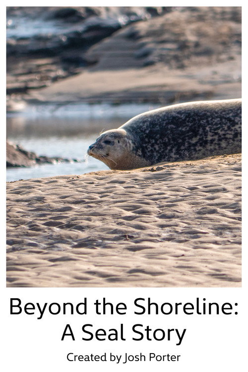 Movie poster for Beyond the Shoreline: A Seal Story (2023)