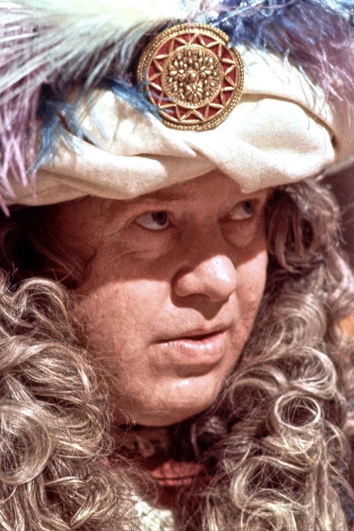 Movie poster for Den fine mand (1971)