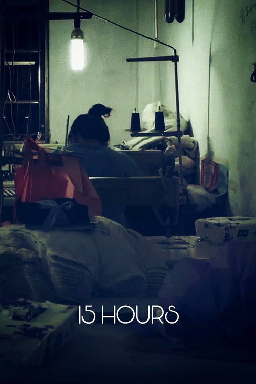 Movie poster for 15 Hours (2017)