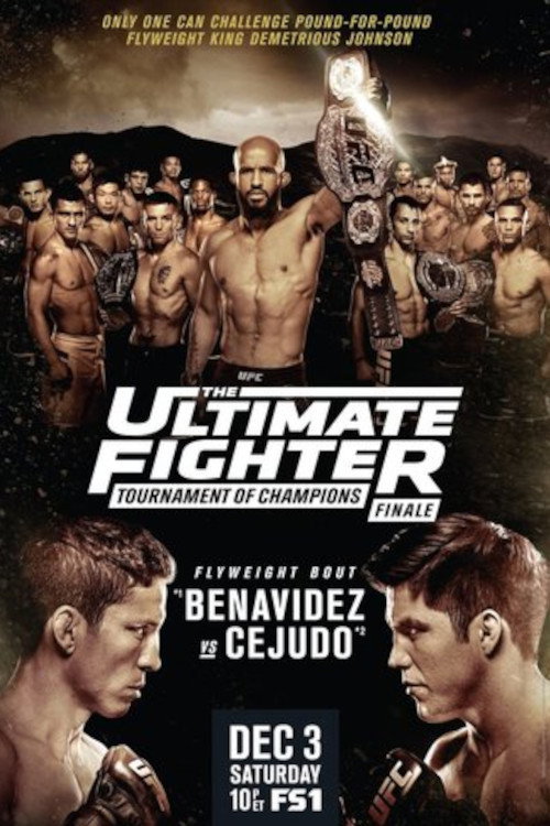 Movie poster for The Ultimate Fighter 24 Finale (2016)