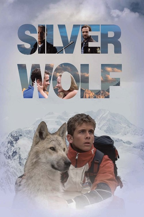 Movie poster for Silver Wolf (1999)