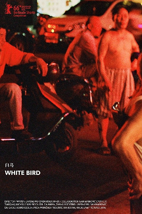 Movie poster for White Bird (2016)