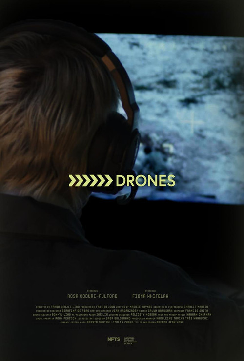 Movie poster for Drones