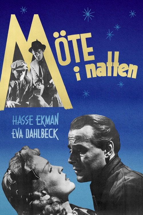 Movie poster for Meeting in the Night (1946)