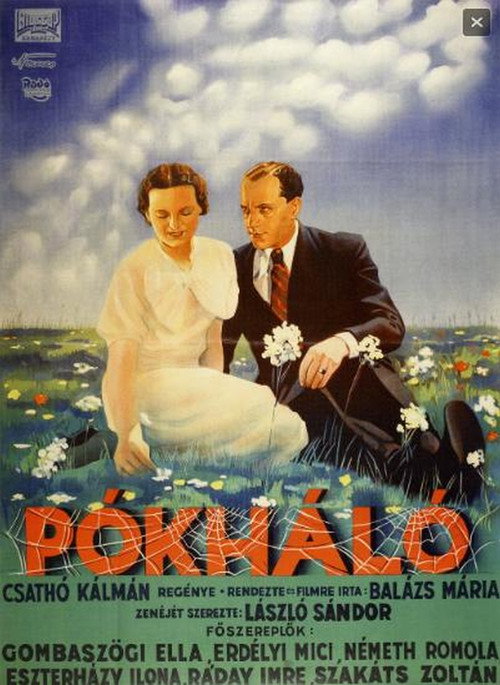 Movie poster for Cobweb (1936)