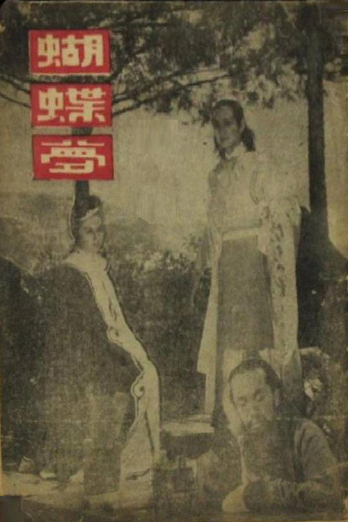 Movie poster for 蝴蝶梦