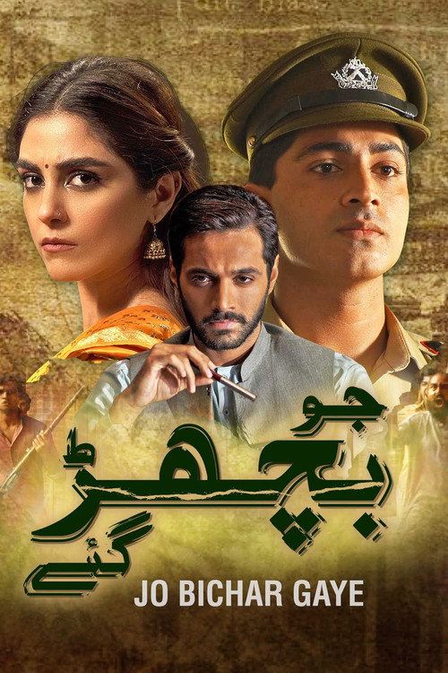 Series poster for Jo Bichar Gaye (2021)