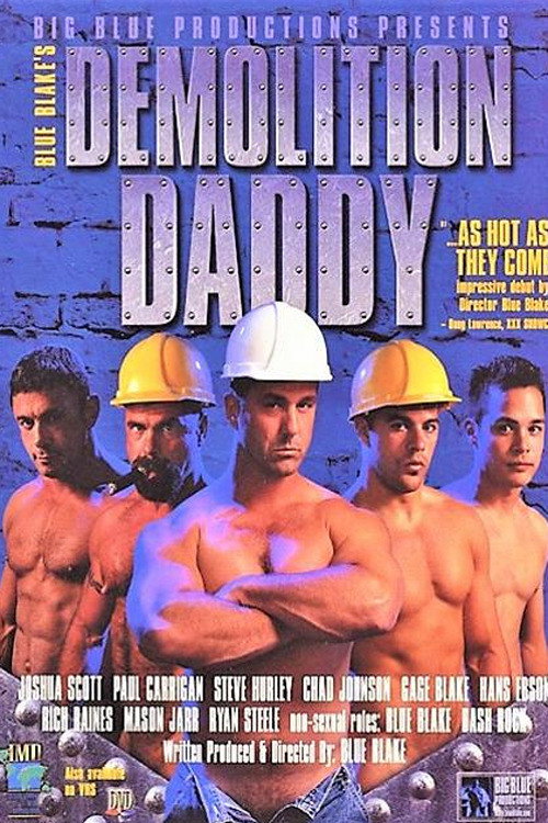 Movie poster for Demolition Daddy (2000)