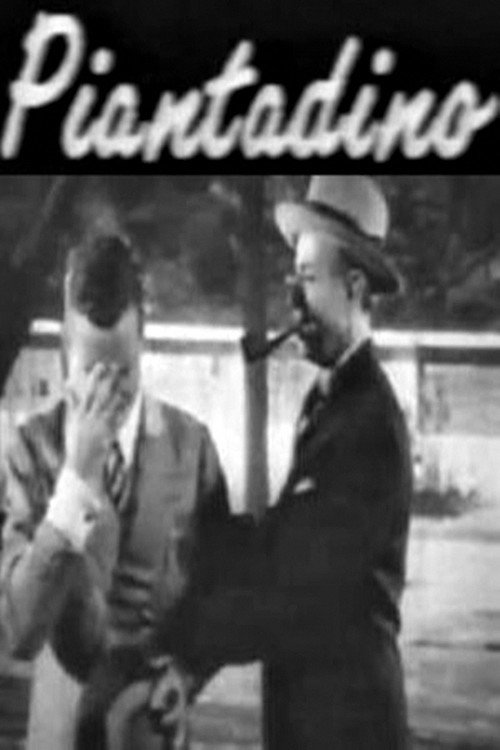 Movie poster for Piantadino (1950)