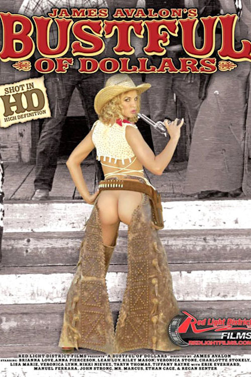 Movie poster for Bustful of Dollars (2005)