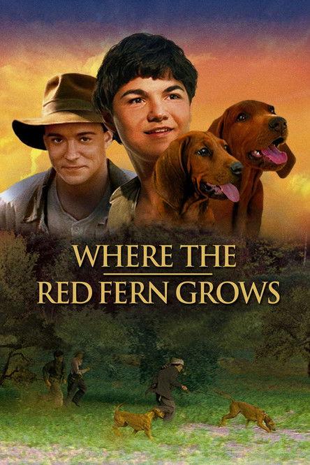 Movie poster for Where the Red Fern Grows (2003)