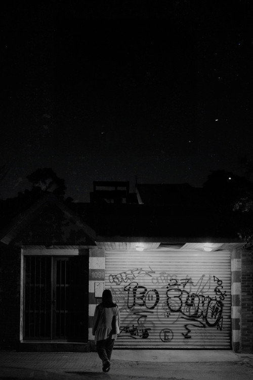 Movie poster for Birds sing at night (2024)