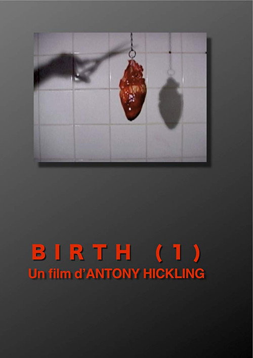 Movie poster for Birth 1 (2010)