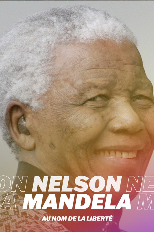 Movie poster for Nelson Mandela, au nom de la liberté (2010)